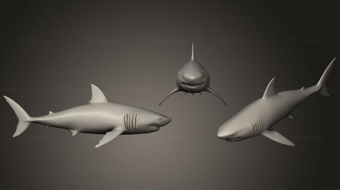 Статуэтки животных (Акула, STKJ_1793) 3D модель для ЧПУ станка